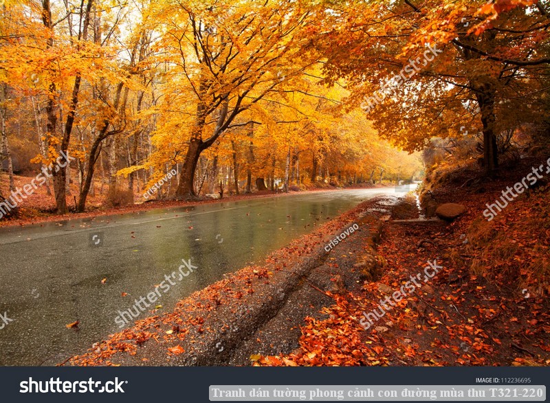 Tranh dán tường phong cảnh con đường mùa thu T321-220